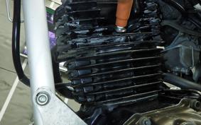 HONDA TLR250R 2001 MD18