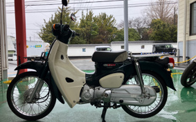 HONDA SUPER CUB50 AA09
