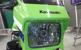 KAWASAKI ZRX1200 D 2017
