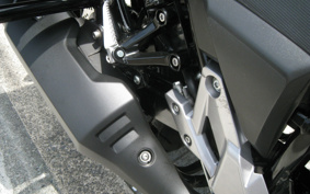SUZUKI STROM 250ABS DS11A