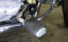 YAMAHA VIRAGO 250 TRIKE 3DM