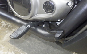 HARLEY RH975S 2025