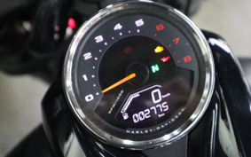 HARLEY FXFB 2019 YKJ
