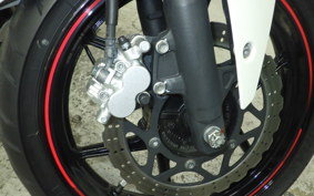 KAWASAKI NINJA 250R EX250K