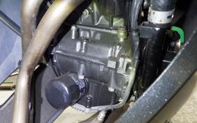 KAWASAKI NINJA 250 EX250L