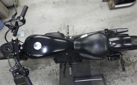 HARLEY XL883N 2010