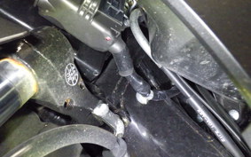 HONDA LEAD 125 2025 JK12