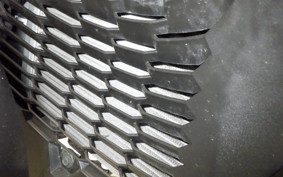 YAMAHA X-MAX 250 SG70J