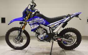 YAMAHA WR250R 2019 DG15J