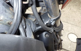 KAWASAKI Z250 ER250C