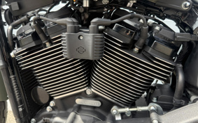 HARLEY FXBBS 2021 YYK