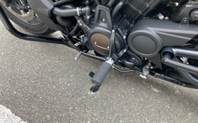 HARLEY RH1250S 2022 ZC4
