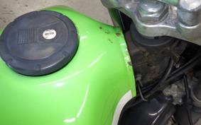 KAWASAKI SUPER SHERPA 2023 KL250G