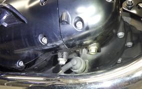 KAWASAKI W800 CAFE 2020 EJ800B