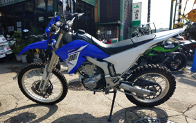 YAMAHA WR250R DG15J