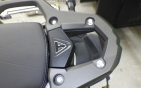 TRIUMPH TIGER 900 RALLY PRO 2023