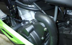 KAWASAKI ZX-4RR 2025 ZX400P