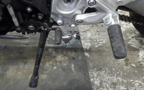 YAMAHA XSR900 GP 2024 RN96J