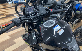 KAWASAKI Z250 EX250P