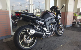 YAMAHA FZ1 FAZER 2009 RN17