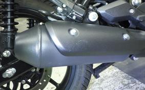 OTHER +ENFIELD HUNTER350 2025