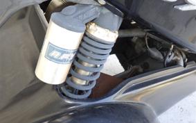 OTHER +UNREGISTERED MODEL by BDS TRIKE 2025