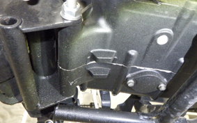 OTHER +ENFIELD ﾒﾃｵ350 2024