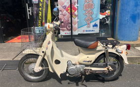 HONDA LITTLE CUB C50