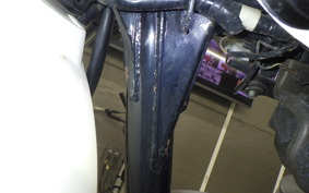KAWASAKI 250TR 2020 BJ250F