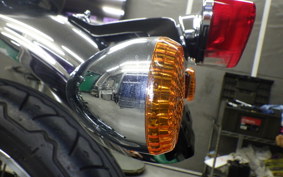 KAWASAKI W800 2019 EJ800B