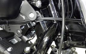 HARLEY XL883N