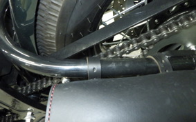 OTHER THUNDER250