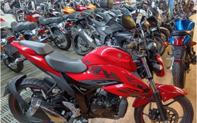 SUZUKI JIKUSA-150 ED13W