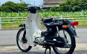 YAMAHA MATE50DX V50
