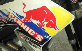 YAMAHA WR250X DG15J