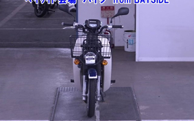 OTHER C110PU LOW 3