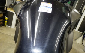 KAWASAKI VERSYS-X 250 A 2009 LE250D