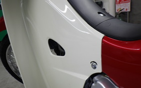 HONDA C110 SUPER CUB 2021