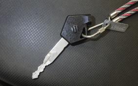 SUZUKI ADDRESS 110 2010 CE47A