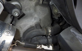 MALAGUTI PHANTOM MAX250 2021