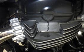 KAWASAKI W800 CAFE 2020 EJ800B