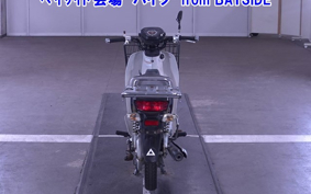 OTHER C110PU LOW 2