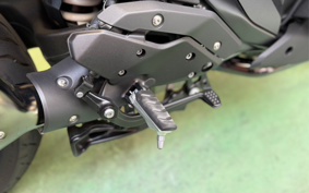 BMW R1300RS ASA 2025 0M61