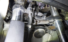 KAWASAKI NINJA 250 ABS EX250L