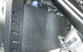 HONDA HAWK 11 2023 SC85