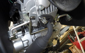 HONDA C50 SUPER CUB 2025 AA09