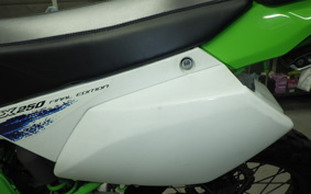 KAWASAKI KLX250 Gen.2 2023 LX250S