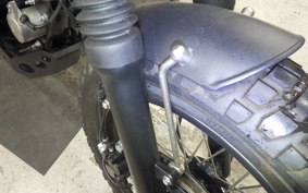 OTHER +MUTT250