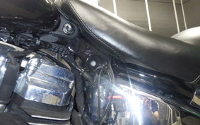 HARLEY FLDE 1750 2018