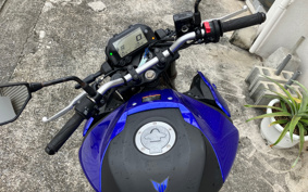 YAMAHA MT-25 ABS RG43J